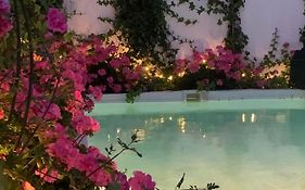Patios Del Agua